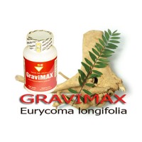 Thuốc Gravimax làm to dương vật tự nhiên.